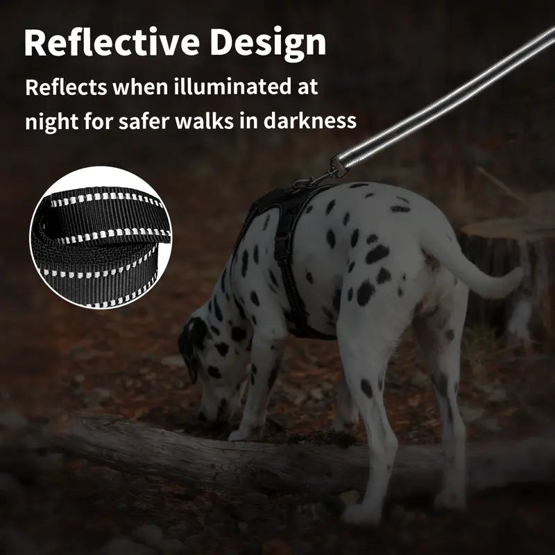 Dalmatian dog wearing Furlyn reflective safety leash at night