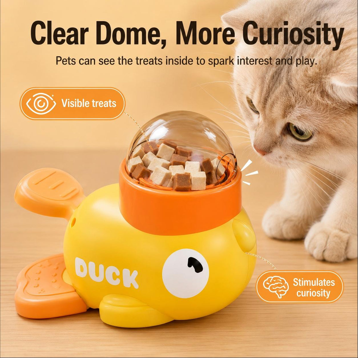 Clear Dome, More Curiosity