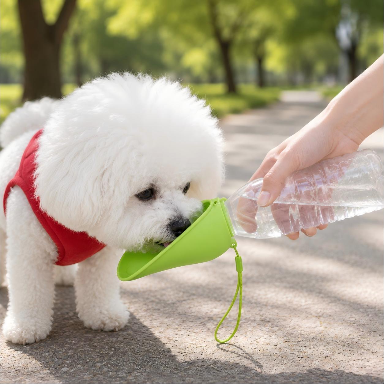 Small dog drinking from Furlyn portable pet water bottle during an outdoor walk