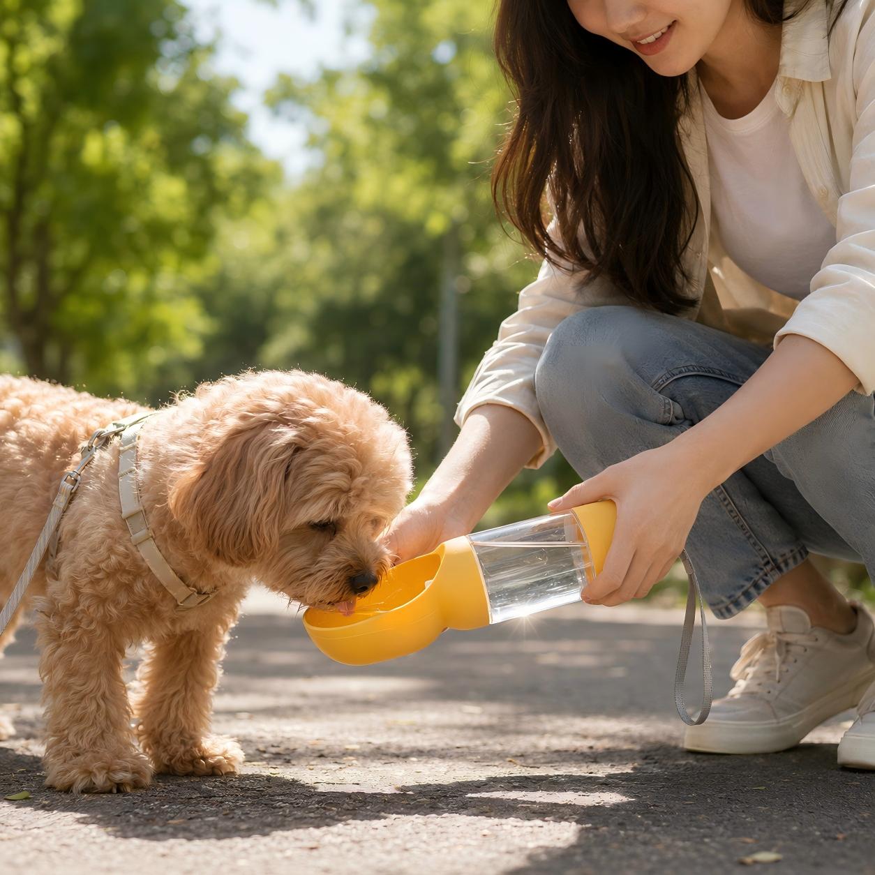 Dog drinking from portable pet travel water bottle while camping