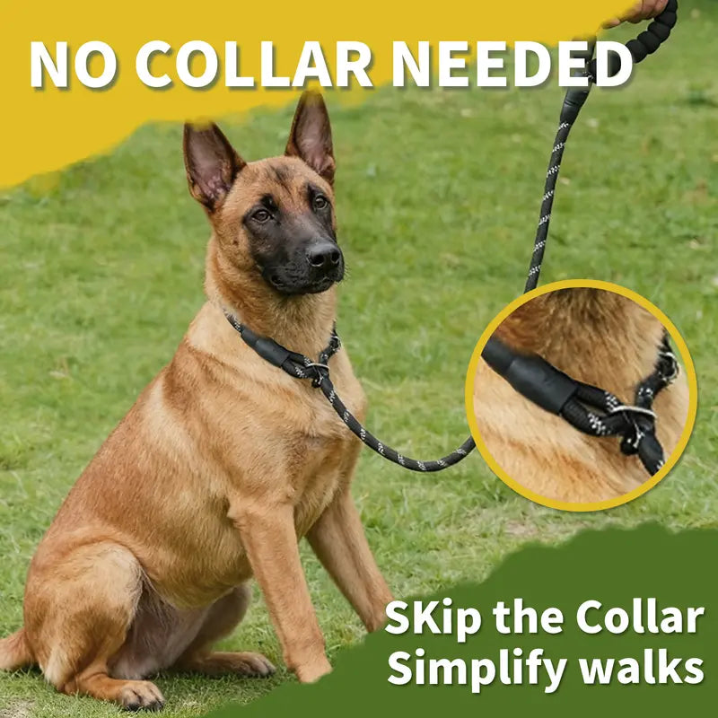 Aviation-grade metal carabiner frog clip for large dogs