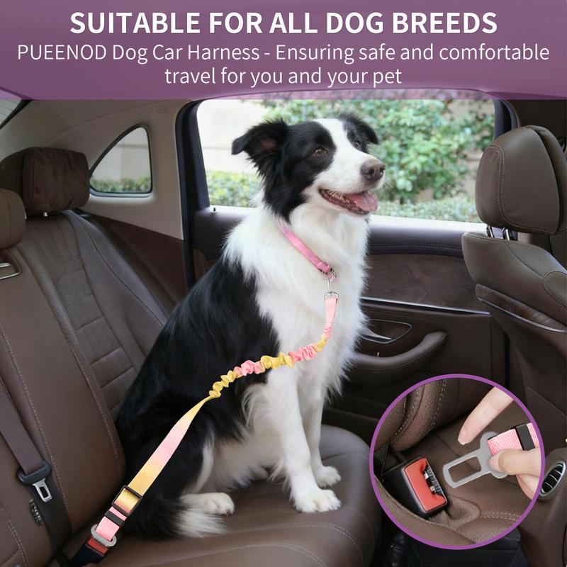 Border collie safely secured in car seat using Furlyn dog seat belt