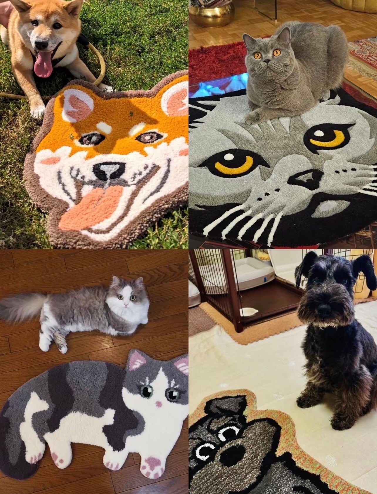 A Gift Pet Lovers Remember