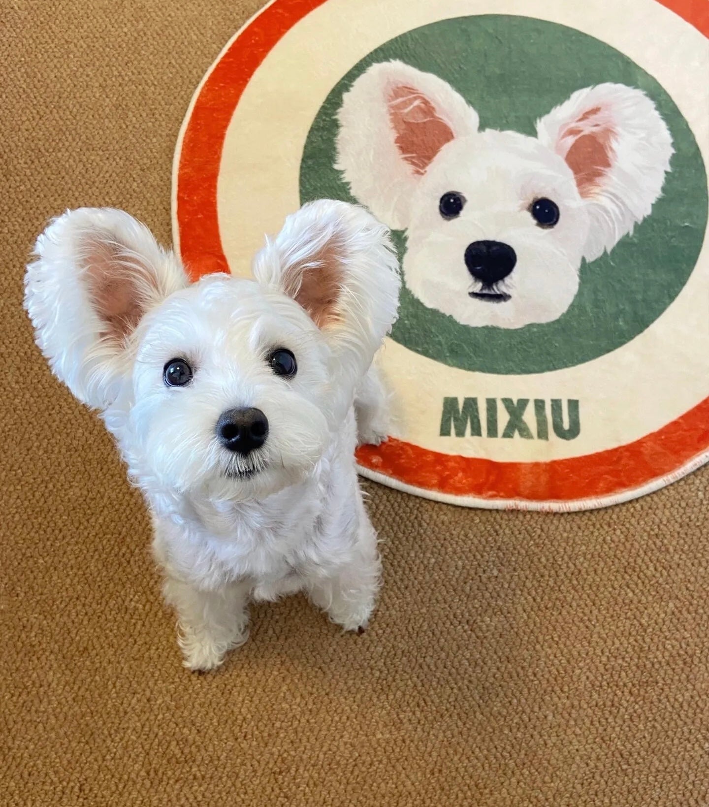 Custom Pet Portrait Rug – Personalized Cat & Dog Floor Mat