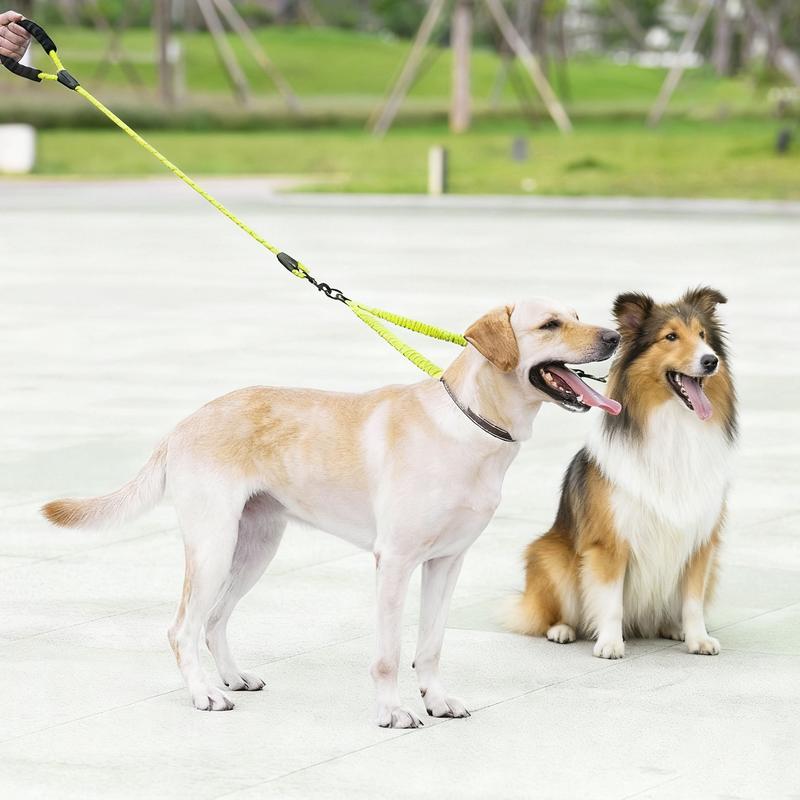 Owner effortlessly walking a Labrador and Sheltie with a neon green tangle-free dual leash